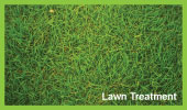 lawn treatment